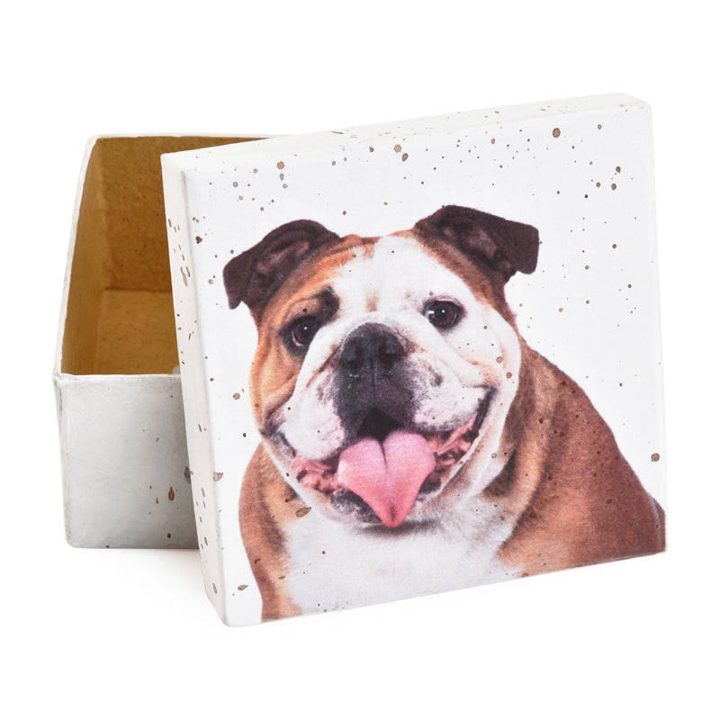 Gift Boxes-Bulldog Portrait-Paper Mache-Square-X-Small-Quantity 1