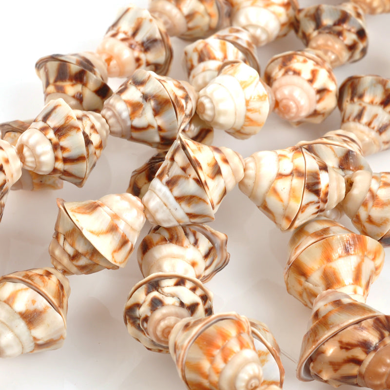 shell-11x7mm-voluta-bead-natural-16-inch-strand