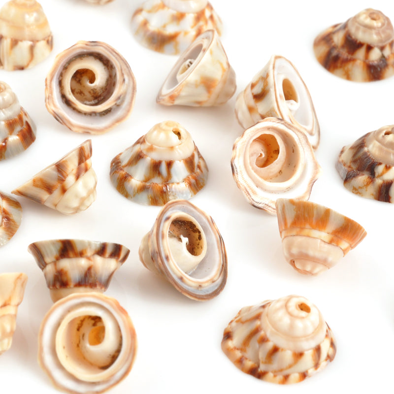 Shell-11x7mm Voluta Bead-Natural-16 Inch Strand