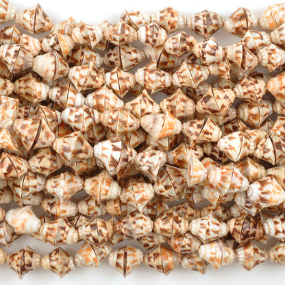 Shell-11x7mm Voluta Bead-Natural-16 Inch Strand