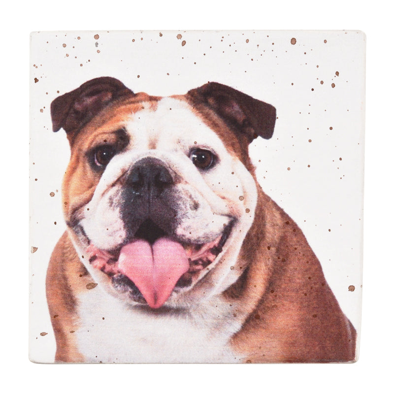 Gift Boxes-Bulldog Portrait-Paper Mache-Square-X-Small-Quantity 1